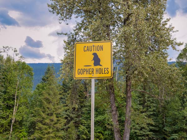 The Life Cycle of a Gopher: From Birth to Death
