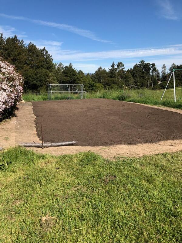 Graded lawn bed with gopher wire installed before sod
