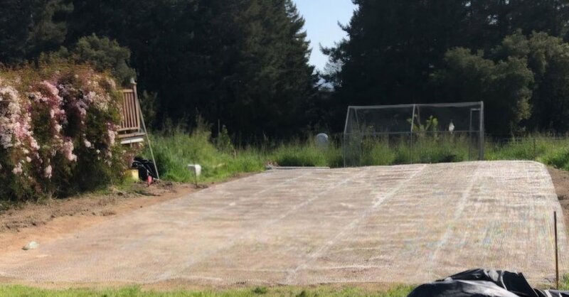 Gopher wire mesh installed over a graded lawn before sod
